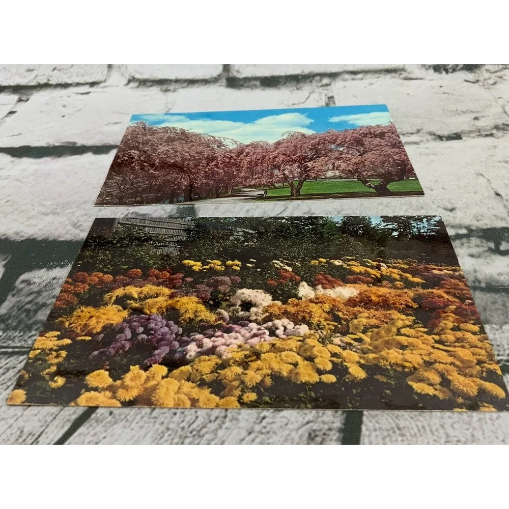 Vintage Postcard‎ Lot Ecology Keep American Beautiful Series Flower Fields
